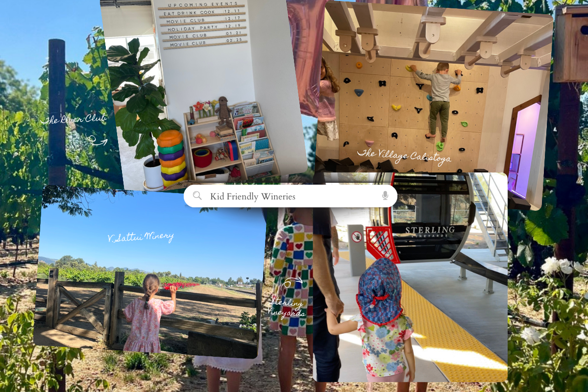 Kid-Friendly Wineries in Napa Valley article graphic